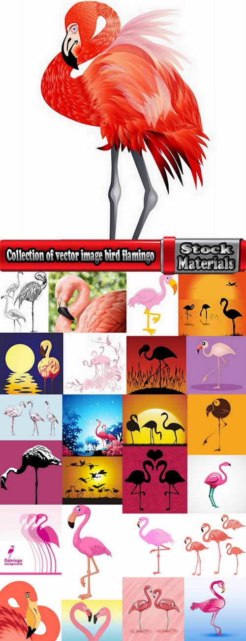 Collection of vector image bird flamingo 25 Eps