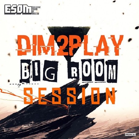 DIM2PLAY - Bigroom Session Special EDM Mix (2015)
