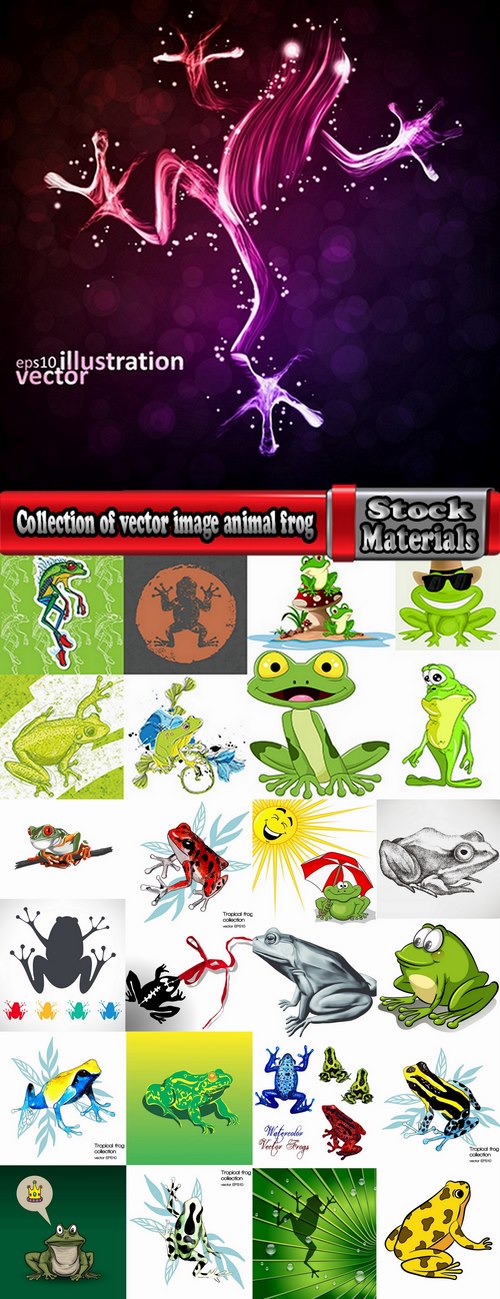 Collection of vector image animal frog toad skin color 25 Eps