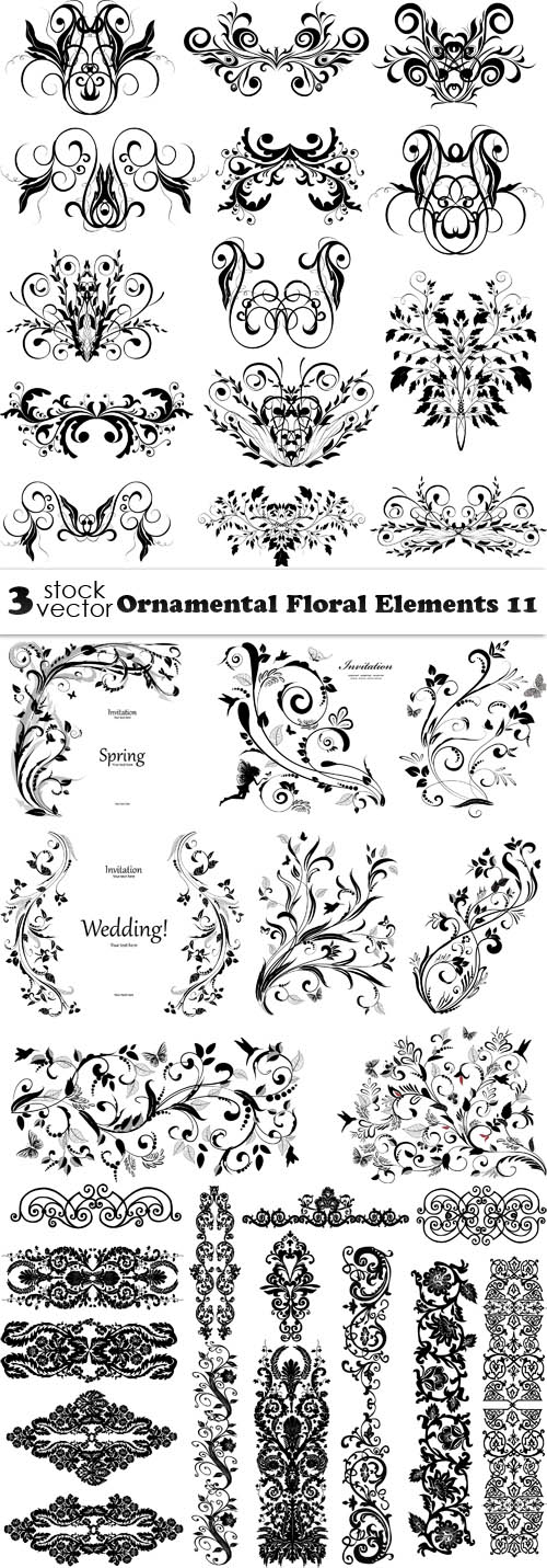 Vectors - Ornamental Floral Elements 11