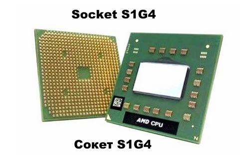 AMD процессор socket s1g4