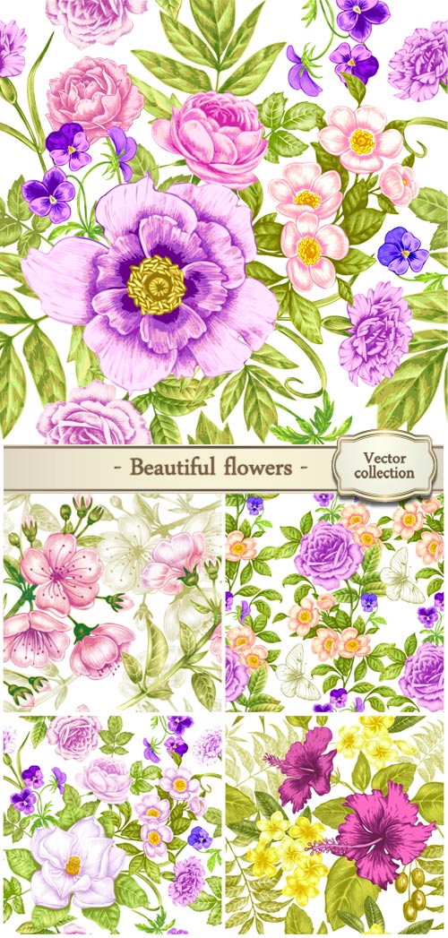 Vector background with beautiful flowers