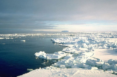 Арктика снова обрастает льдами – ученые