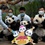 Единственные панды-тройняшки отметили первый день рождения