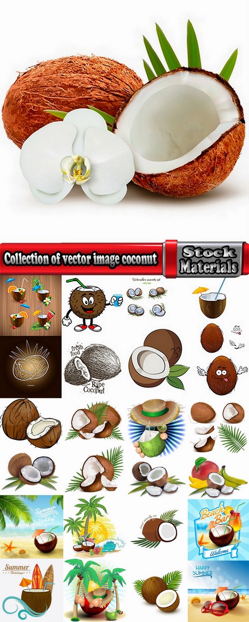 Collection of vector image coconut coconut juice pulp nut 25 EPS