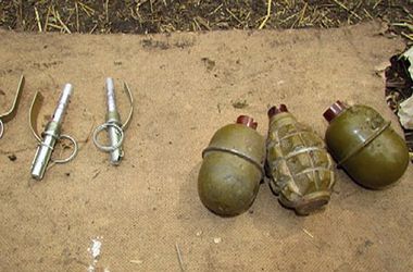 В Днепропетровской области в лесополосе оставили пакет с боевыми гранатами
