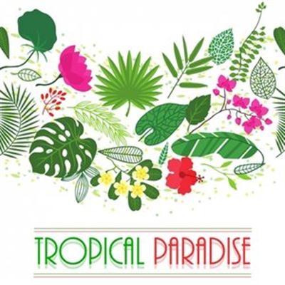 Soundmasters Tropical Paradise | WAV Ableton Live Ni Massive