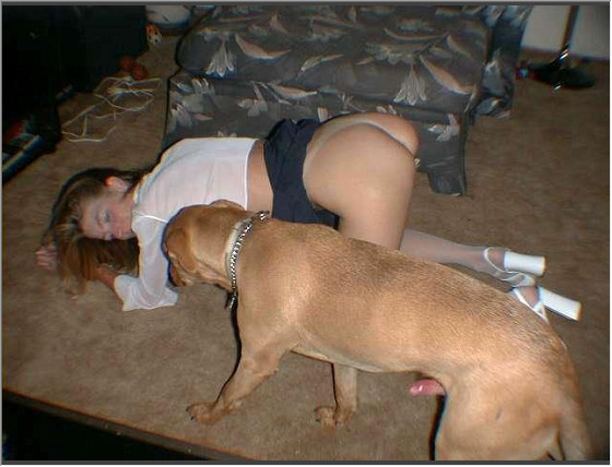 Amateur Dog Porn