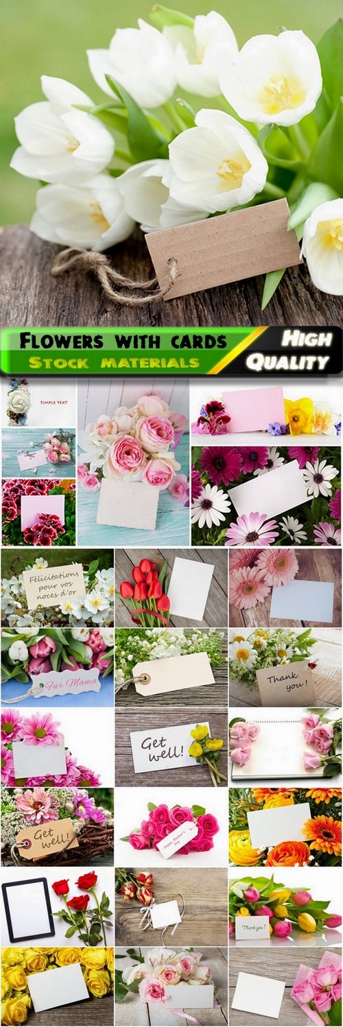 Cute flowers with paper cards for your text - 25 HQ Jpg