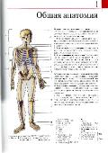 Й. В. Роен и др. Большой анатомический атлас (2015) PDF