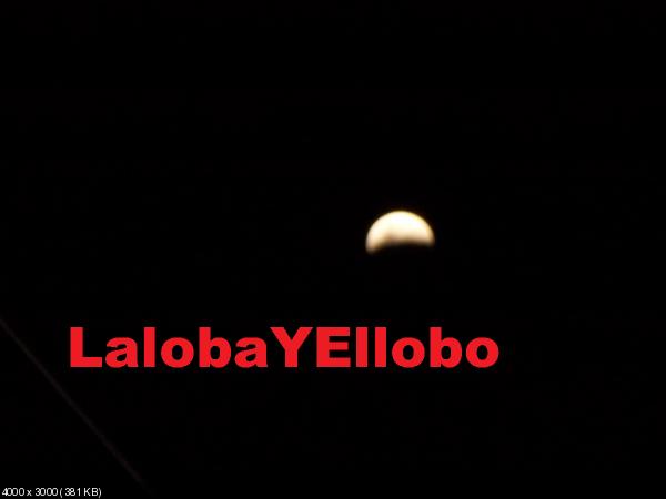 LalobaYEllobo: Eclipse, la loba chupa mi cola 1°.