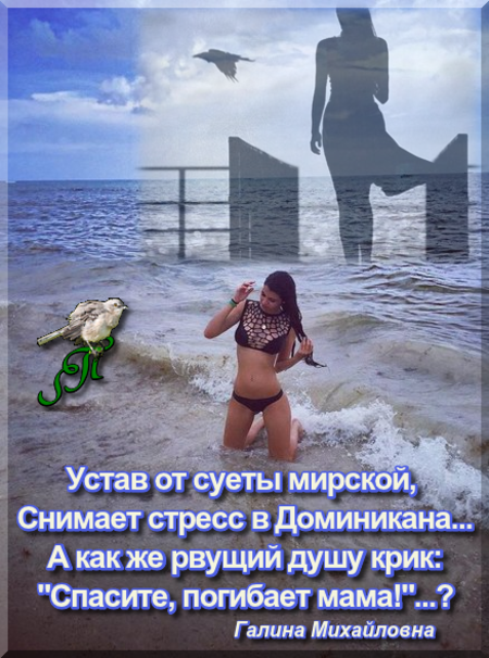 http://i69.fastpic.ru/big/2015/0817/20/0dba684cae519084f333e9da6d274220.png